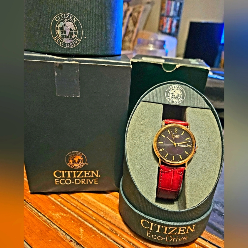 NWT Citizen Echo-Drive Men's Watch